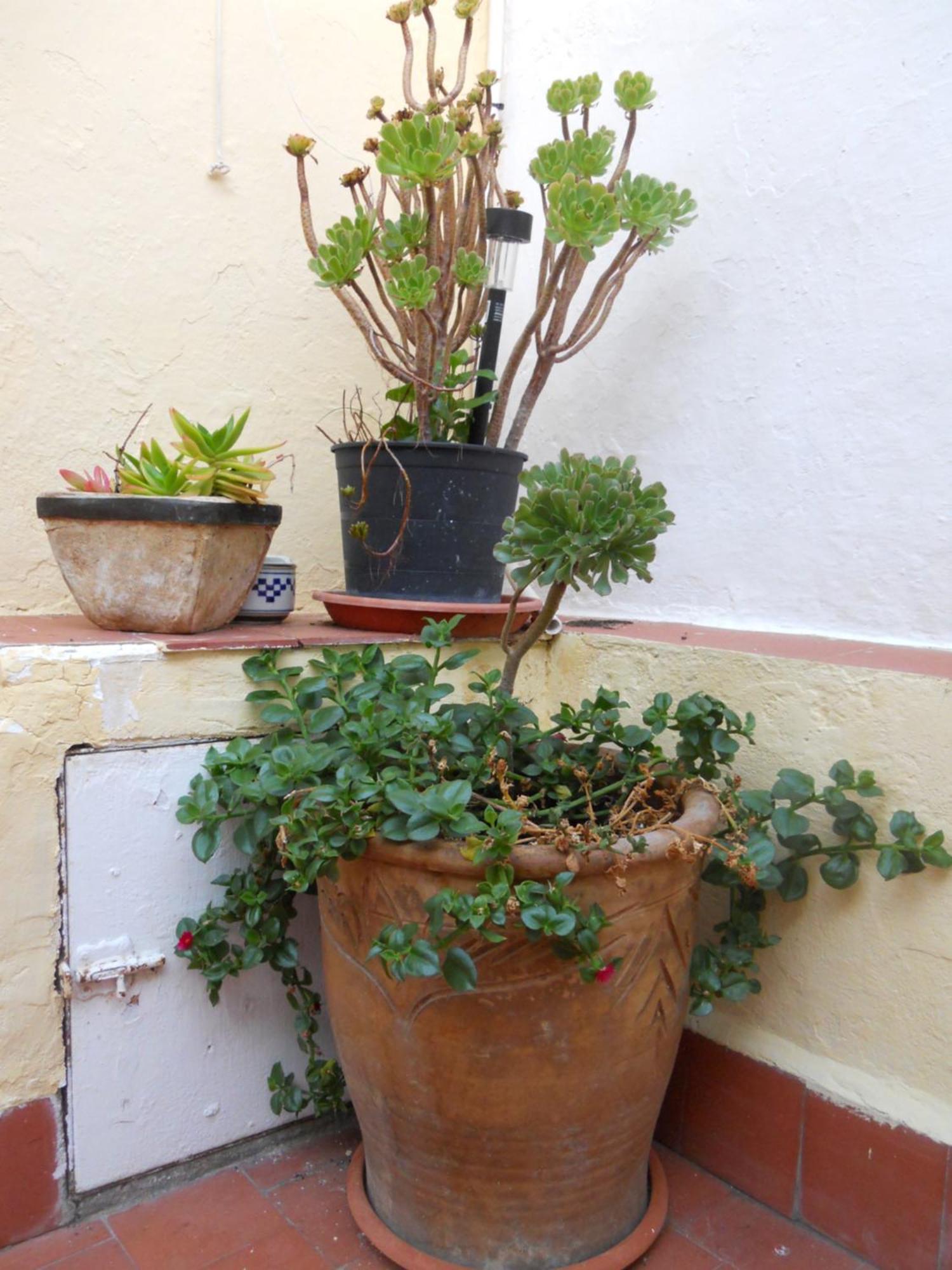 Naturalia: La Casita Con Patio Caces Eksteriør billede